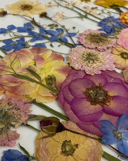 How to Press Flowers - A Step-by-Step Guide