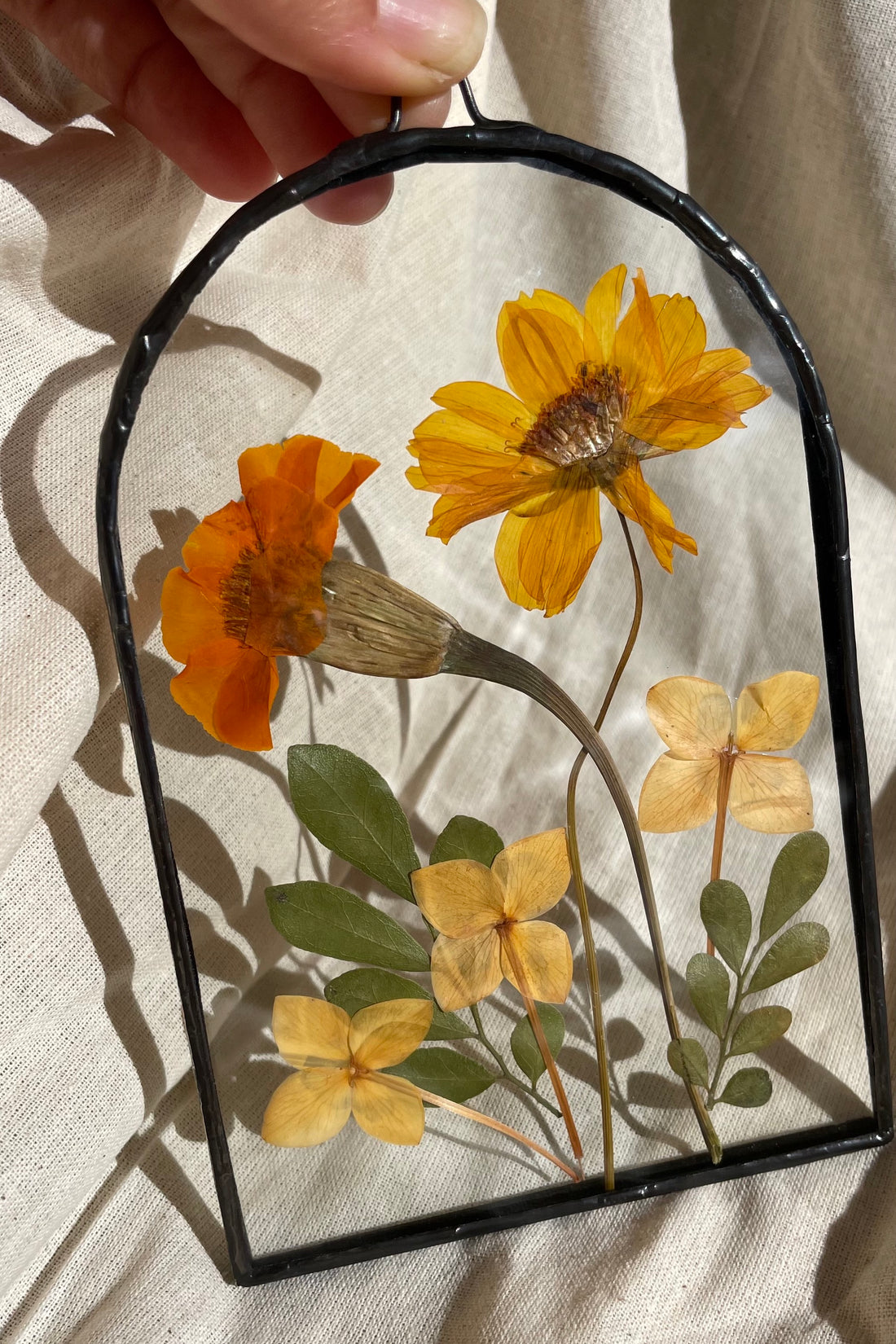 Pressed orange marigolds and yellow cosmos between glass in a arch shaped double glassed framed. Tiffany method frame