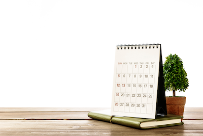 Preserved bridal bouquet, pressed flowers between glass, wedding bouquet preservation