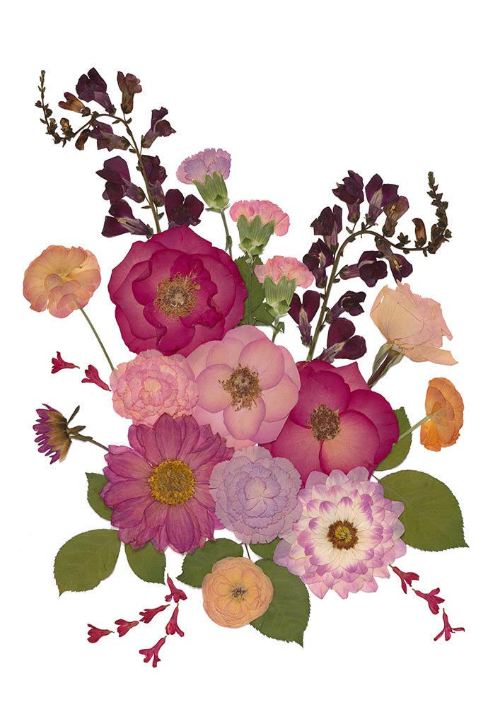 Fiesta Flora