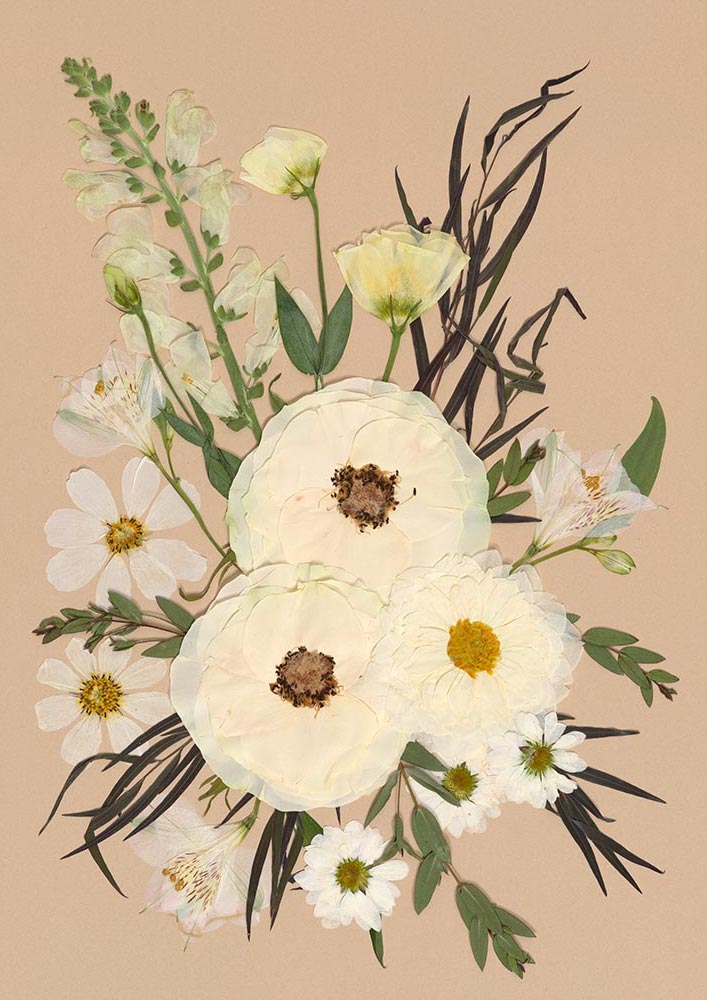 Floral arrangement with white roses, dahlias, snap dragons, cosmos and daisies flowers on a beige background