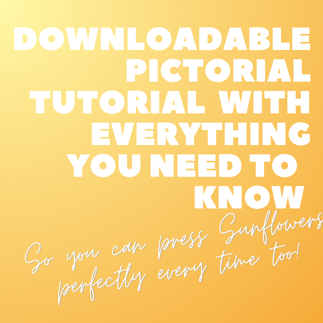 Sunflower pressing tutorial