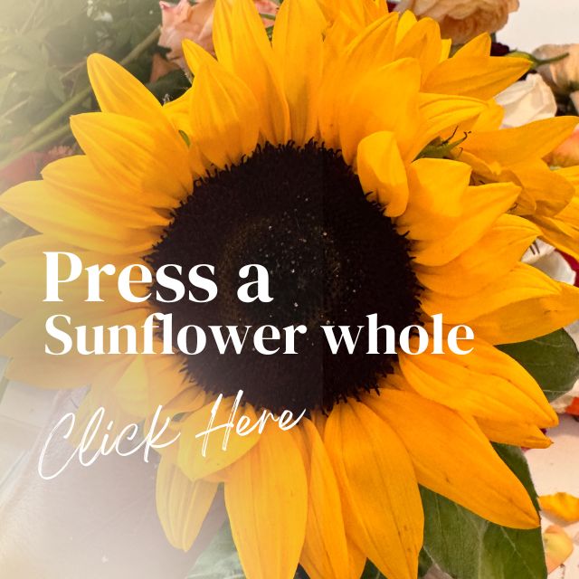 Sunflower with text Saying how to preserve a sunflower whole