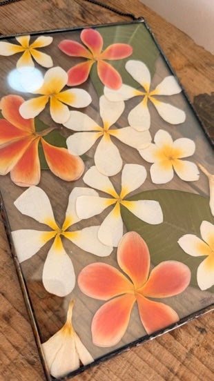 A rectangular framed artwork featuring colour enhanced frangipani flowers in white, pink, orange, and yellow over a green leaf background in a soldered black frame