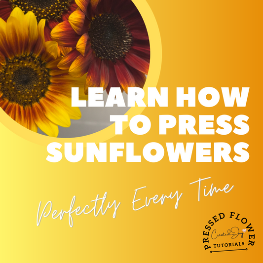 how to press a sunflower every time, flower pressing course, sunflower pressing course